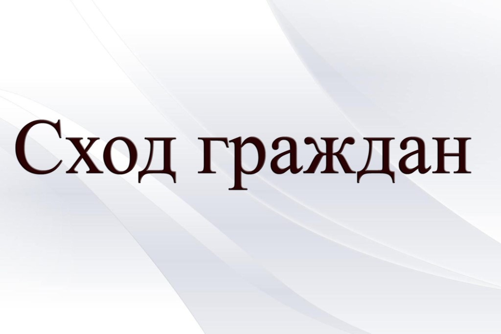 Сход граждан муниципальное право презентация