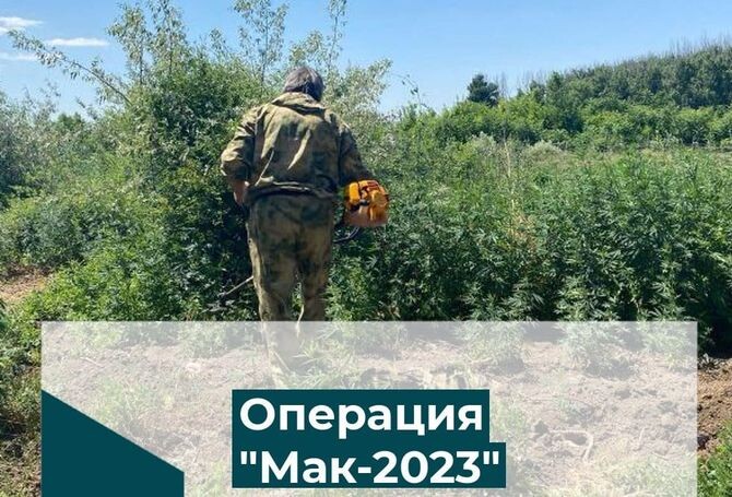 &quot;Мак - 2023&quot;.